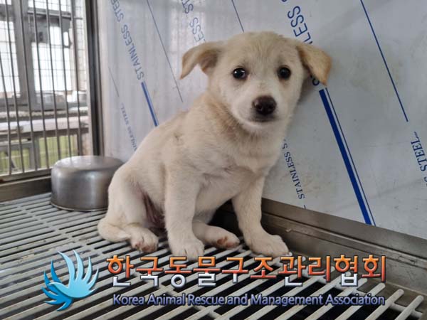 한국동물구조관리협회_441560202400641